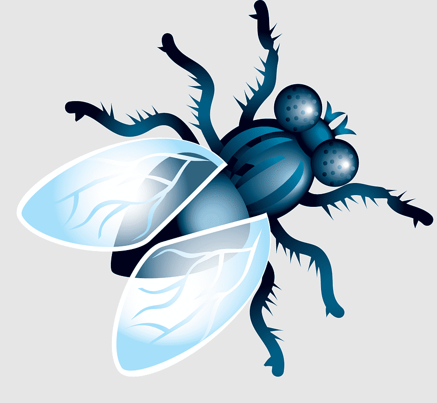 Fly, arthropod, File Formats, insects, moths And Butterflies, membrane ...